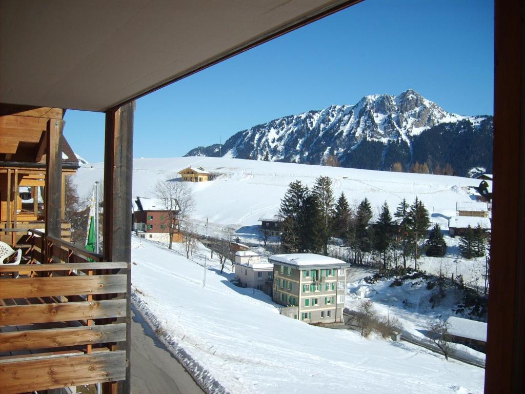 Castel Club Parc Apartment Leysin